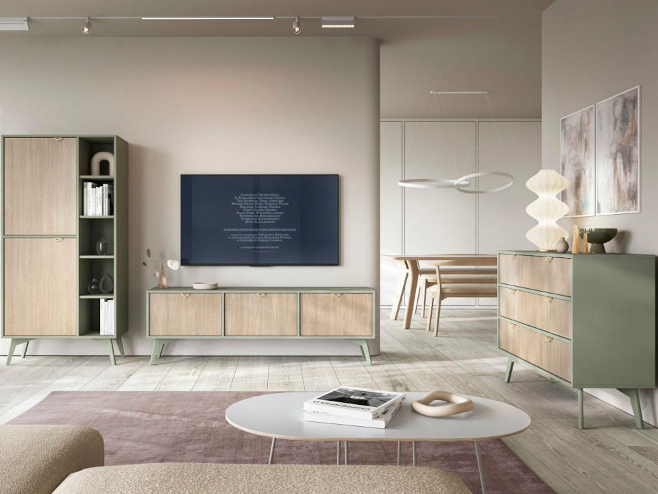 Muebles de salón escandinavos de eucalipto Wald 1
